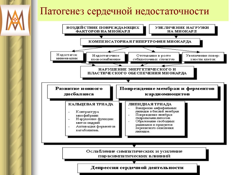 Патогенез сердечной недостаточности